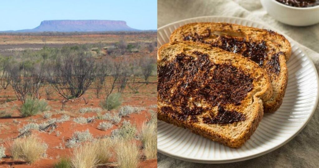 10 gírias e frases que você precisa saber na Austrália 2 10 gírias e frases que você precisa saber na Austrália