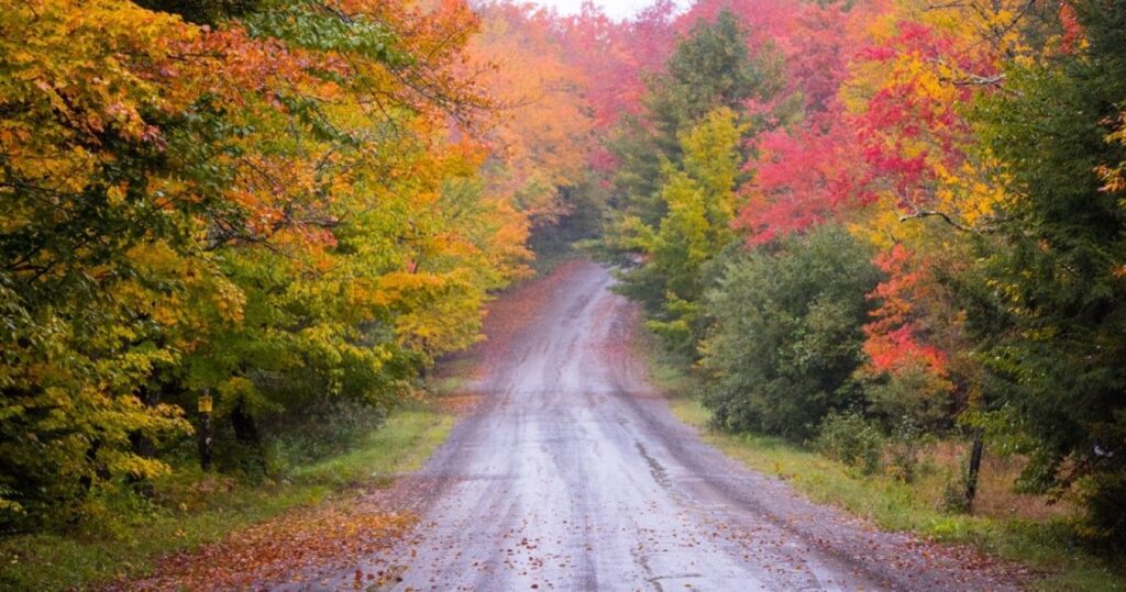 Road scene in New England