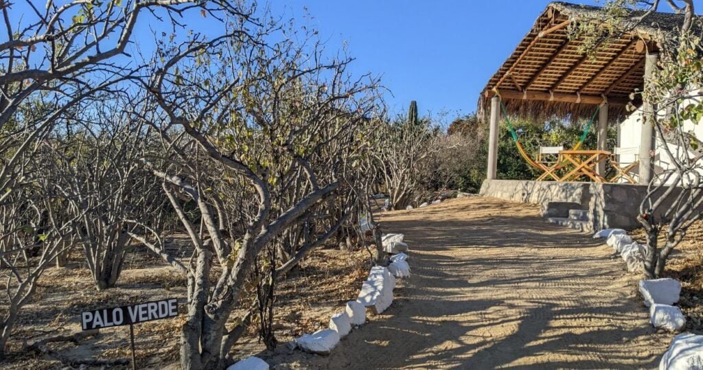Rancho Cacachilas, La Paz, Mexico