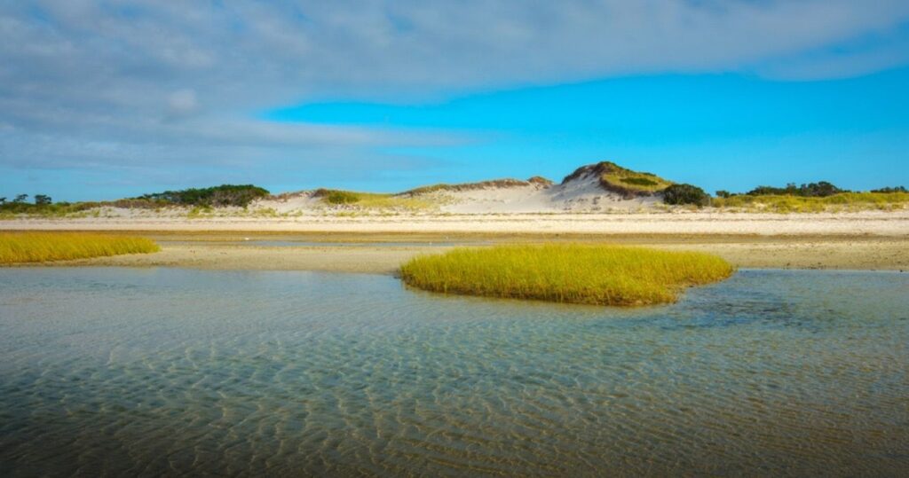Mayflower Beach, Cape Cod