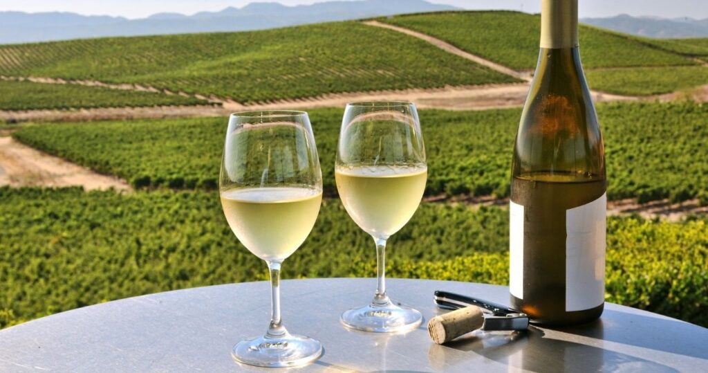 O melhor guia para degustação de vinhos em Napa 2 O melhor guia para degustação de vinhos em Napa