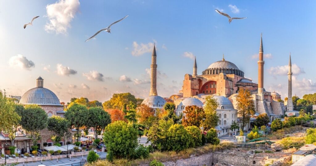 Quando você está em Istambul, estas são algumas coisas que você não deve perder 2 birds flying over the city of istanbul, turkey