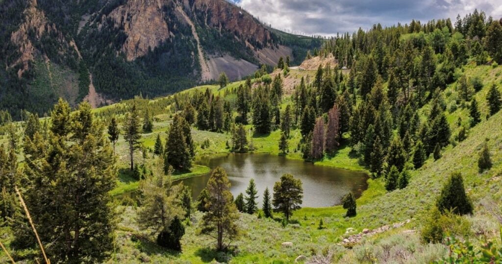 Visitando Yellowstone? Aqui estão 10 coisas que iniciantes devem fazer 9 Yellowstone National Park